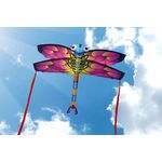 X-Kites SkyBugz Kites - Einleiner-Drachen/Kinderdrachen (1-Leiner) rtf 